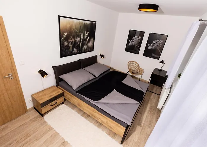 21 Hubertus Lejlighed Karlova Studánka